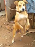 Lili