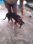 Princesa