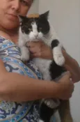 Gigi Linda gatinha