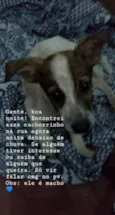 Nao tem