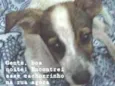 Nao tem