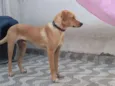 Astro e era