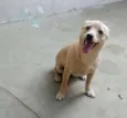 Linda