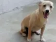 Linda