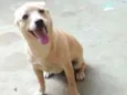 Linda
