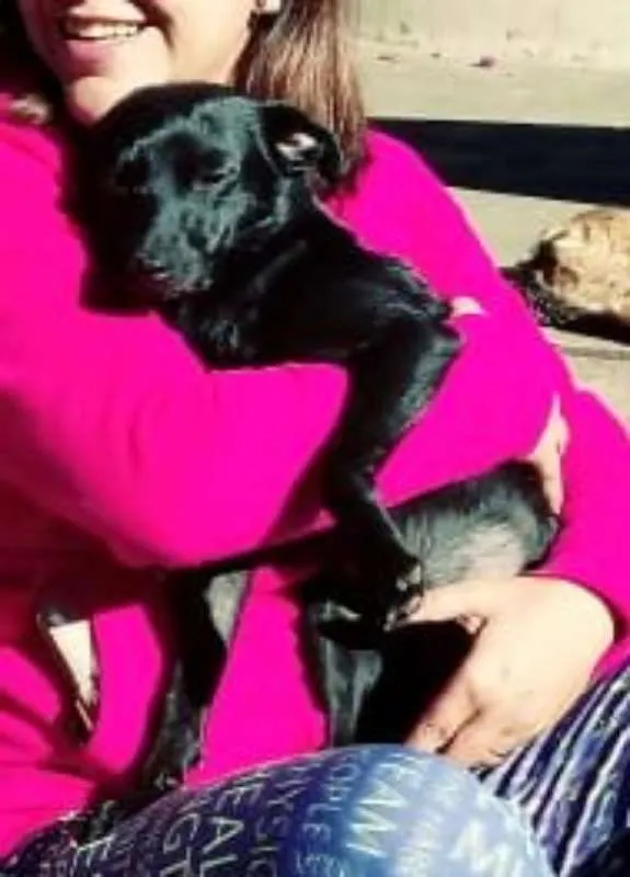 Cachorro ra a srd idade 5 anos nome Iza