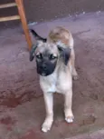billy