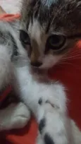 Valentina
