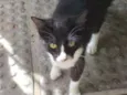  peralta 