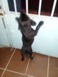 Não definido