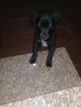 Não definido