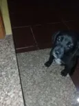 Não definido