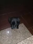 Não definido