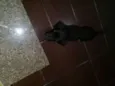 Não definido