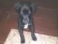 Não definido 
