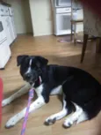 Pop