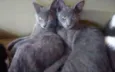 Bia e Lia 