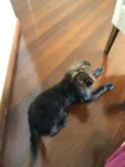 Bob