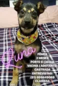 LUNA