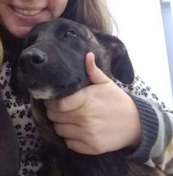 Cachorro ra a srd idade 7 a 11 meses nome Bombom