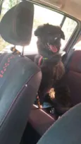 Bolinha