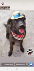 Bolinha