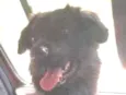 Bolinha
