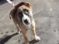 Bella
