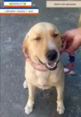 Marley