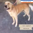 Marley