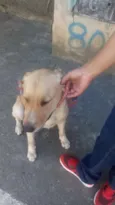 Marley