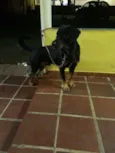 Ralf