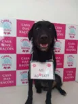Zeca