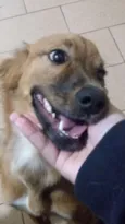 Jolie