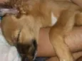 Jolie
