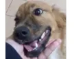 Jolie