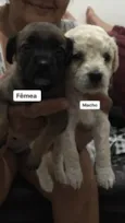 Sem nomes