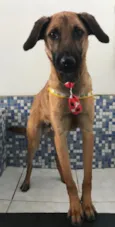Paçoca 