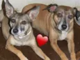 LILA E LUCA