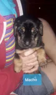 Sem nome ainda