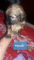 Sem nome ainda