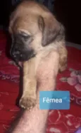 Sem nome ainda