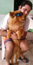 Belinha