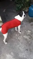 Nina