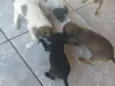 Ainda não tem