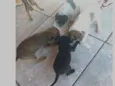 Ainda não tem