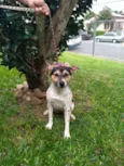 Amy