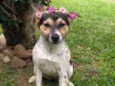 Amy