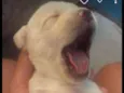 Não tem