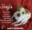 Shayla